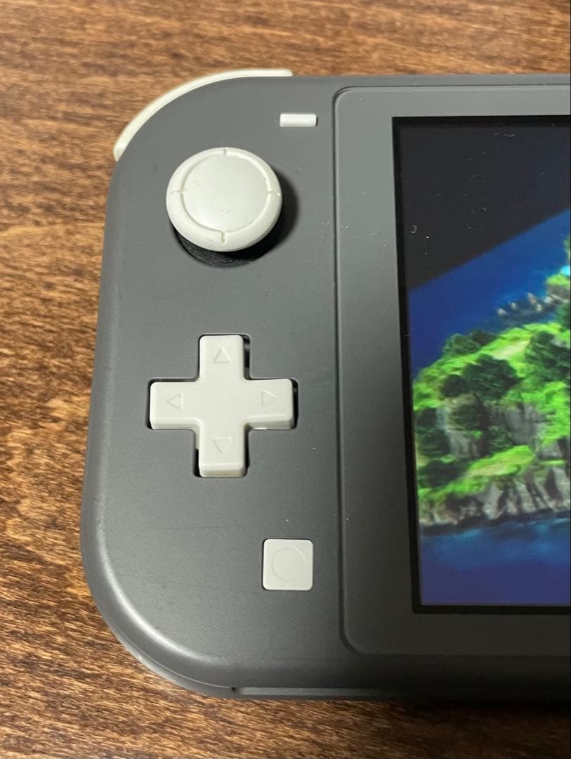 Nintendo Switch Lite グレー 動作確認済みです