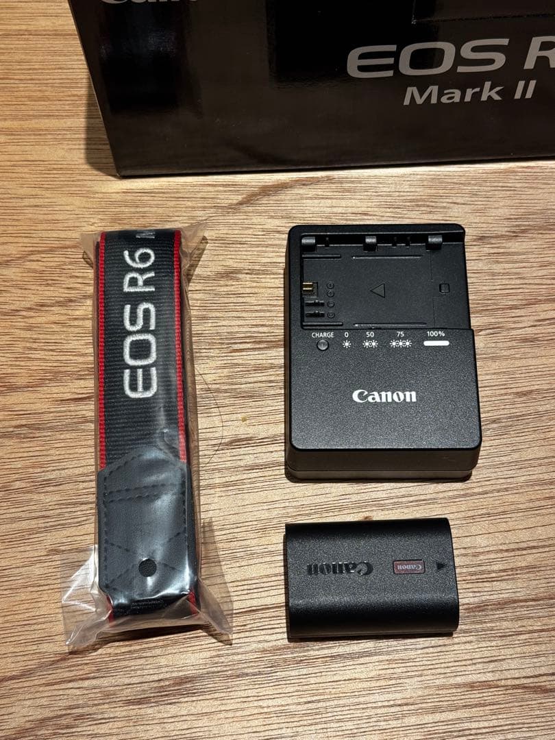 【美品】Canon EOS R6 Mark II 本体/ ケージ付き