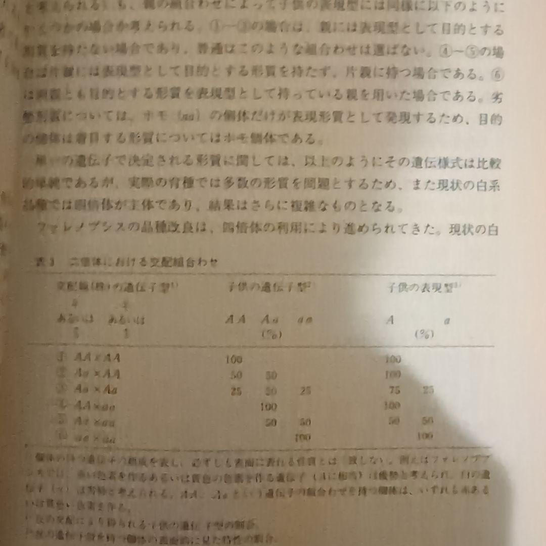 【レア】ファレノプシス （花専科・育種と栽培） 市橋正一／編著