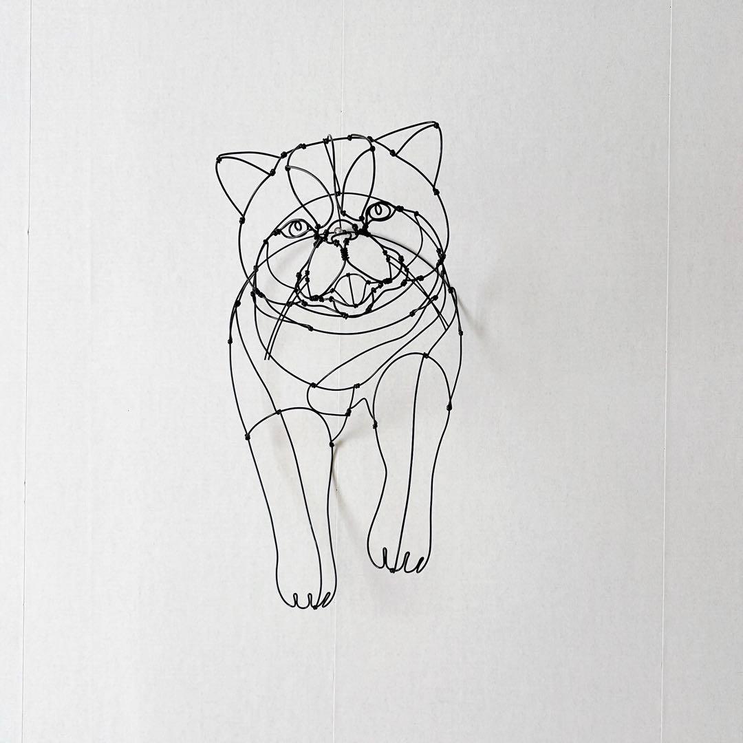 エキゾチックショートヘア　/ ワイヤーアート