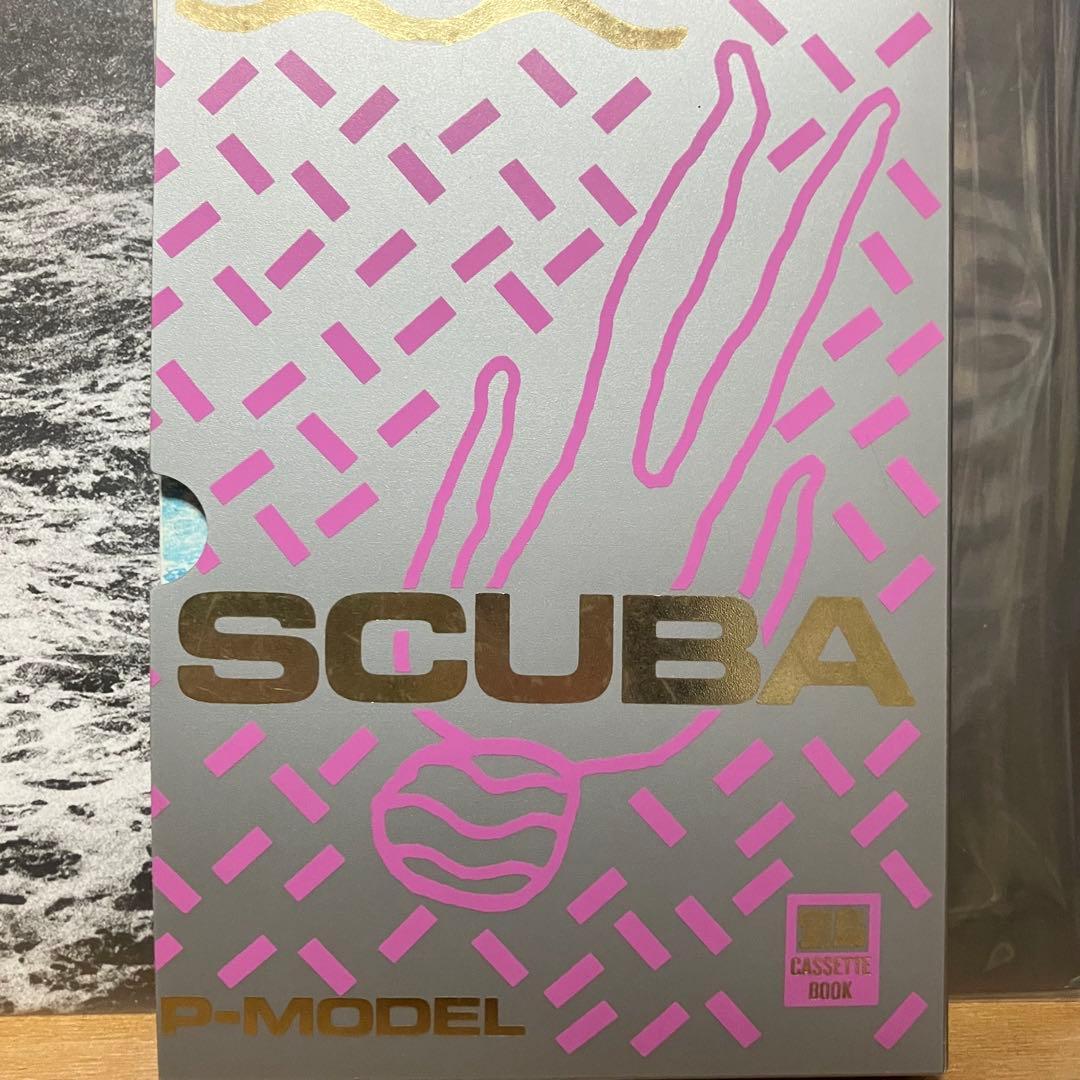 P-MODEL 凍結前9点セット全て美品　平沢進