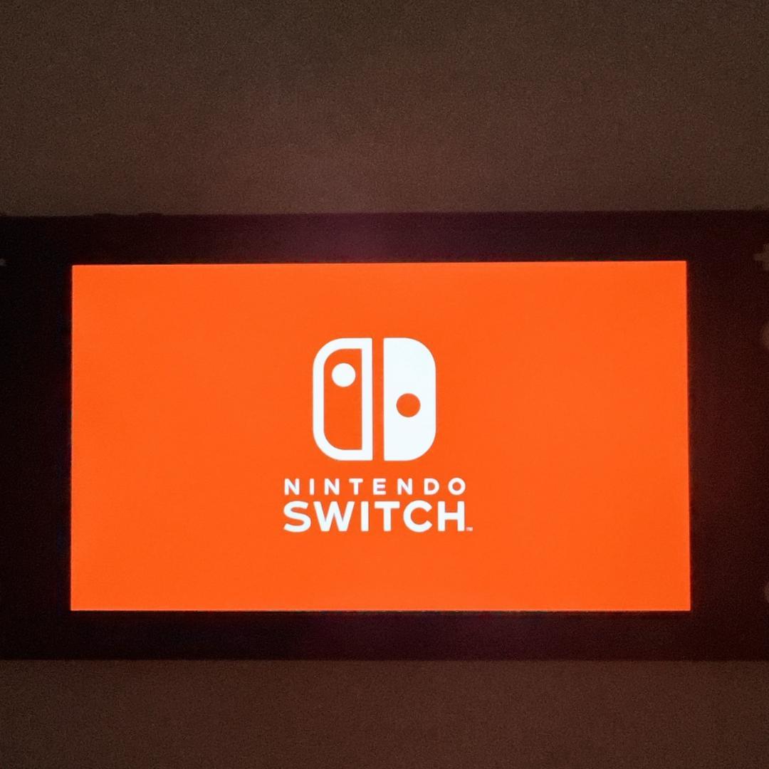 【美品】 Nintendo Switch Lite Gray 箱 充電器 付き