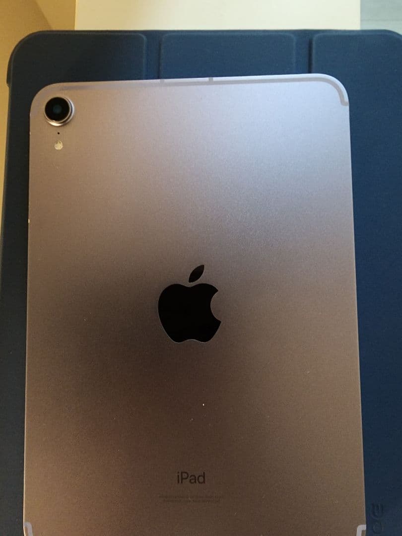 iPad本体 iPad mini6 WiFi+Cellular 256GB