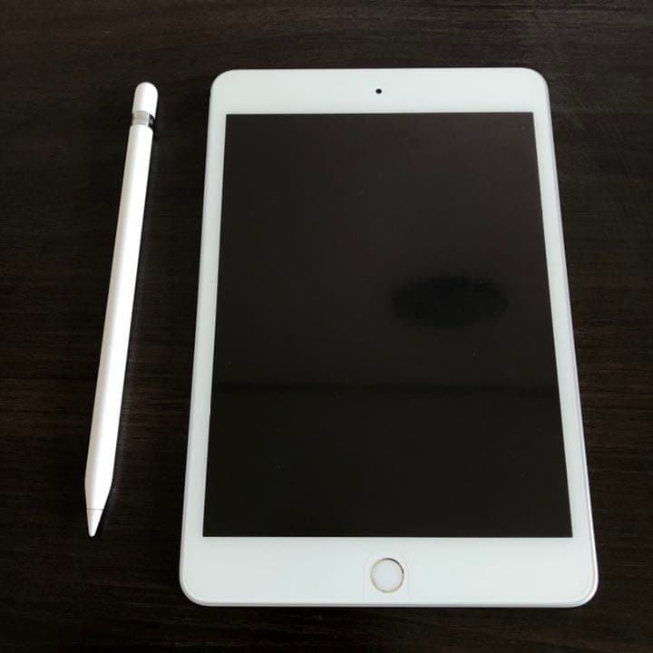 値下対応　iPad mini 5 64G Apple Pencil付き おまけ付