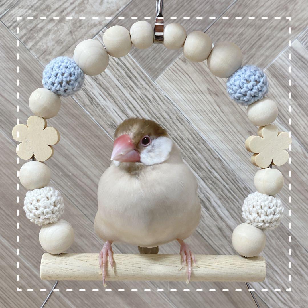 【星空】ことりのあそびば