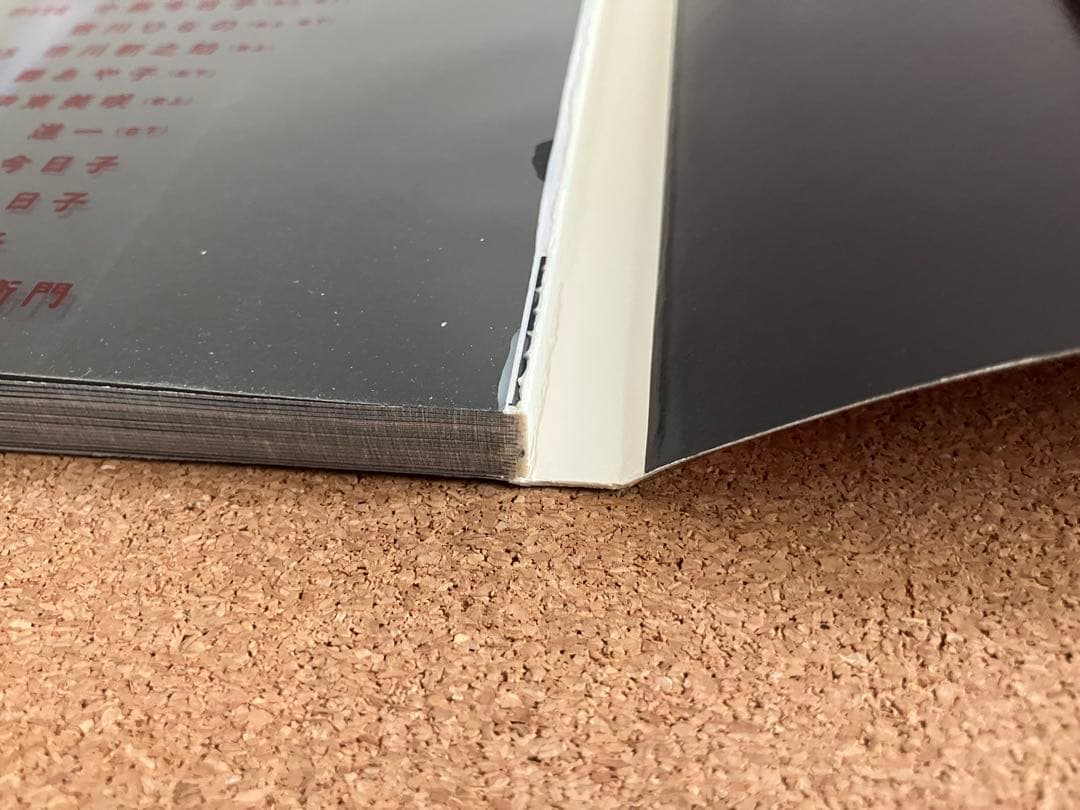 【再値下げ】沢田研二 PARADIS 早川タケジ