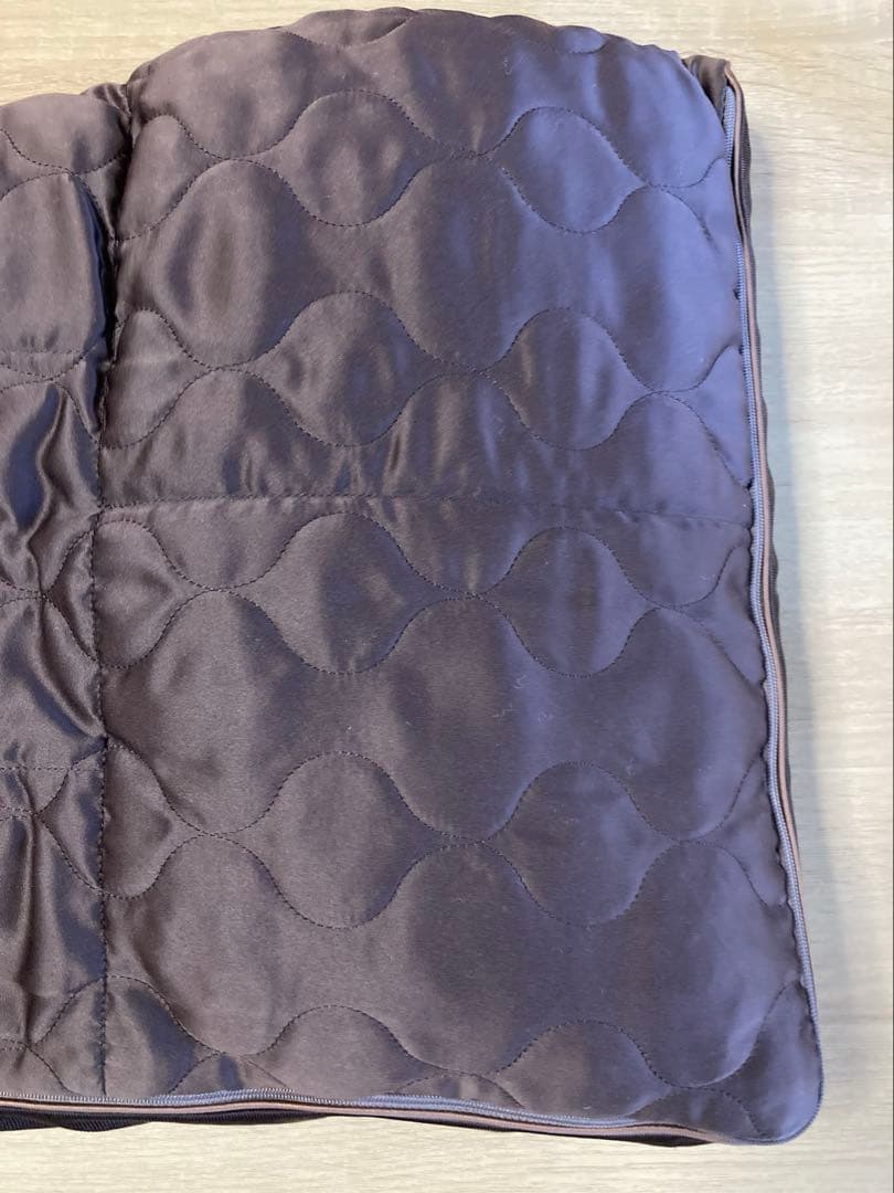 （しょーん）タナカ　じぶんまくら2個セット（1個はオマケ）プレミアムロング