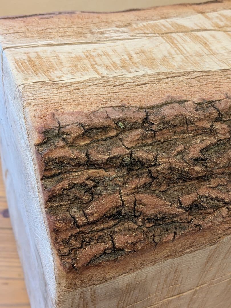 ​【極太・29kg】天然クヌギの丸太スツール／サイドテーブル（樹皮付き一点物）