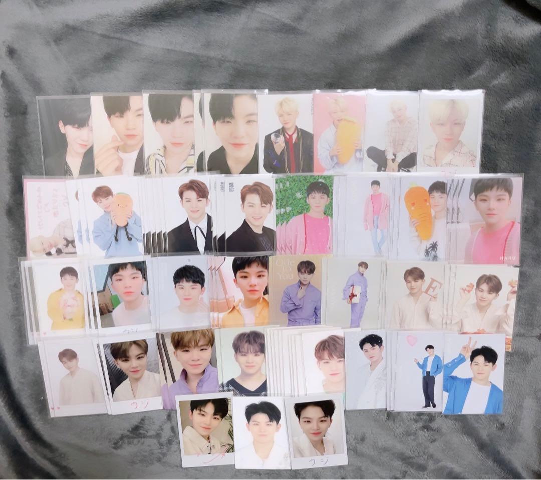 ウジ まとめ売り