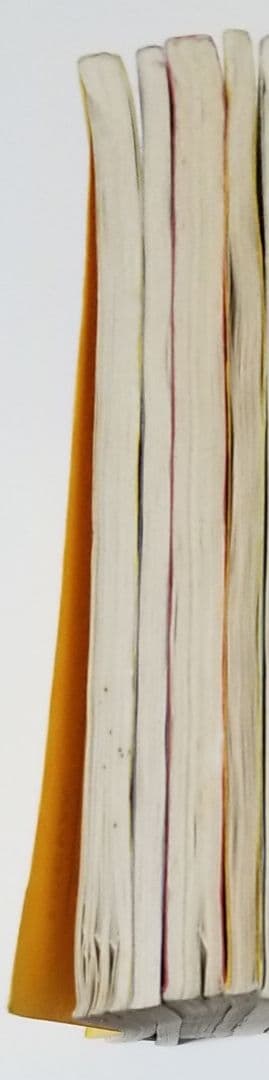 駿台　2004 夏期　化学特講Ⅰ　天然有機物と高分子化合物　4冊