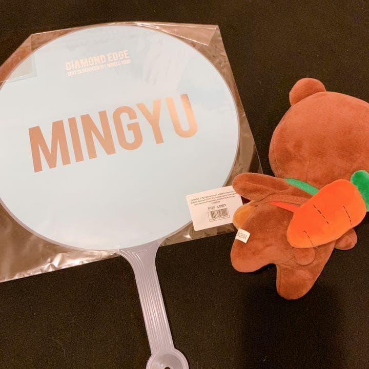 SEVENTEEN ミンギュ セット