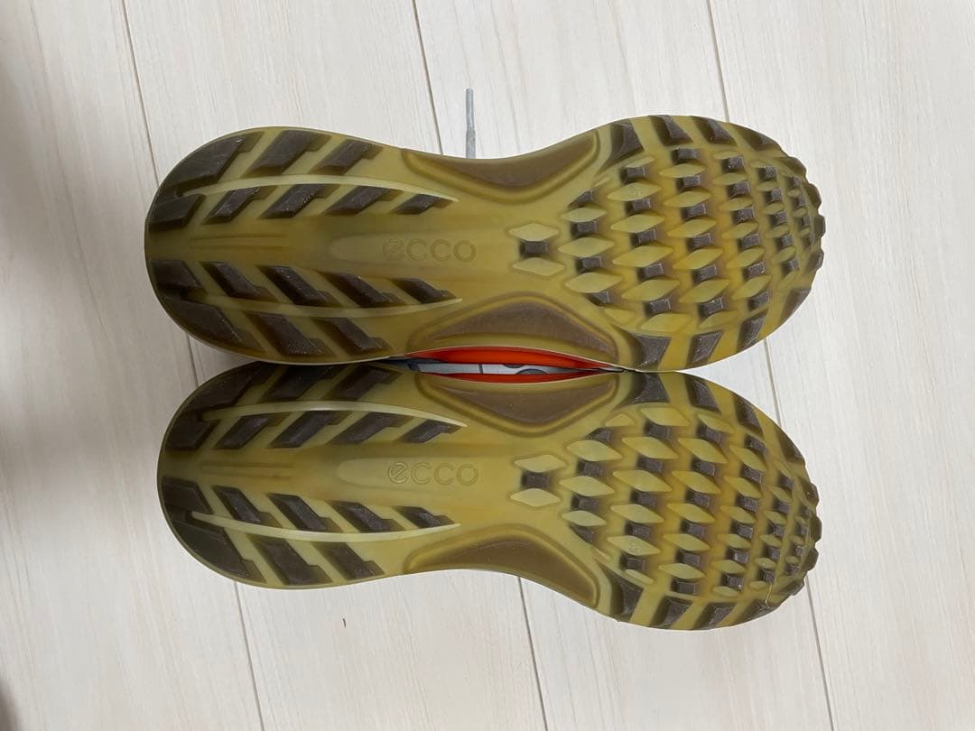 【定価36,300円】ecco☆biom C4 GORE-TEX EU43