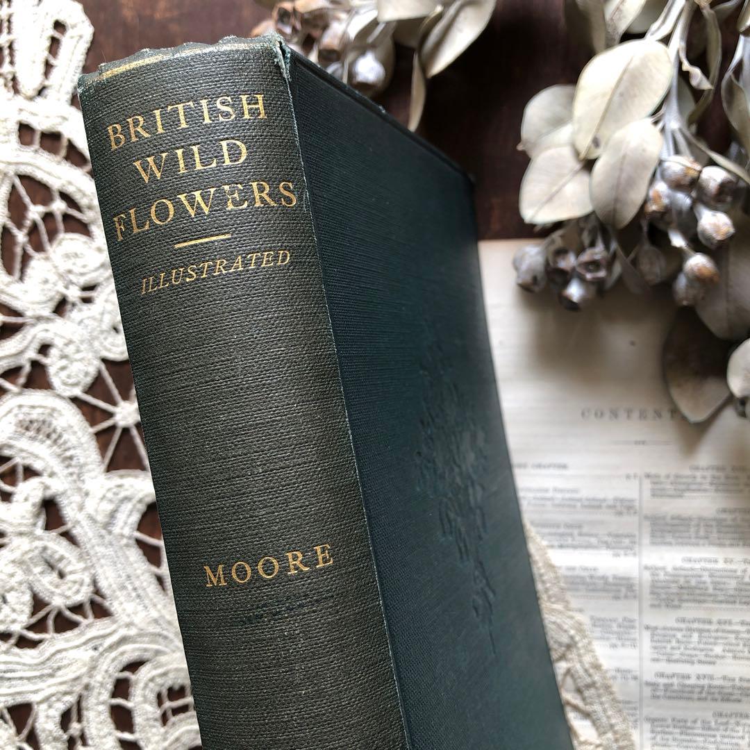 1867年！超希少　手彩色　英国ヴィクトリア時代のアンティーク植物図鑑