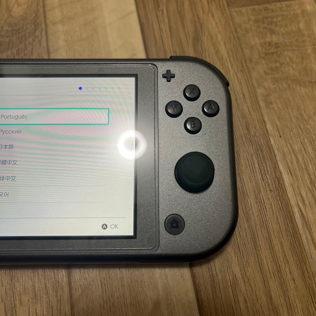 Nintendo Switch Lite ディアルガ・パルキア 本体