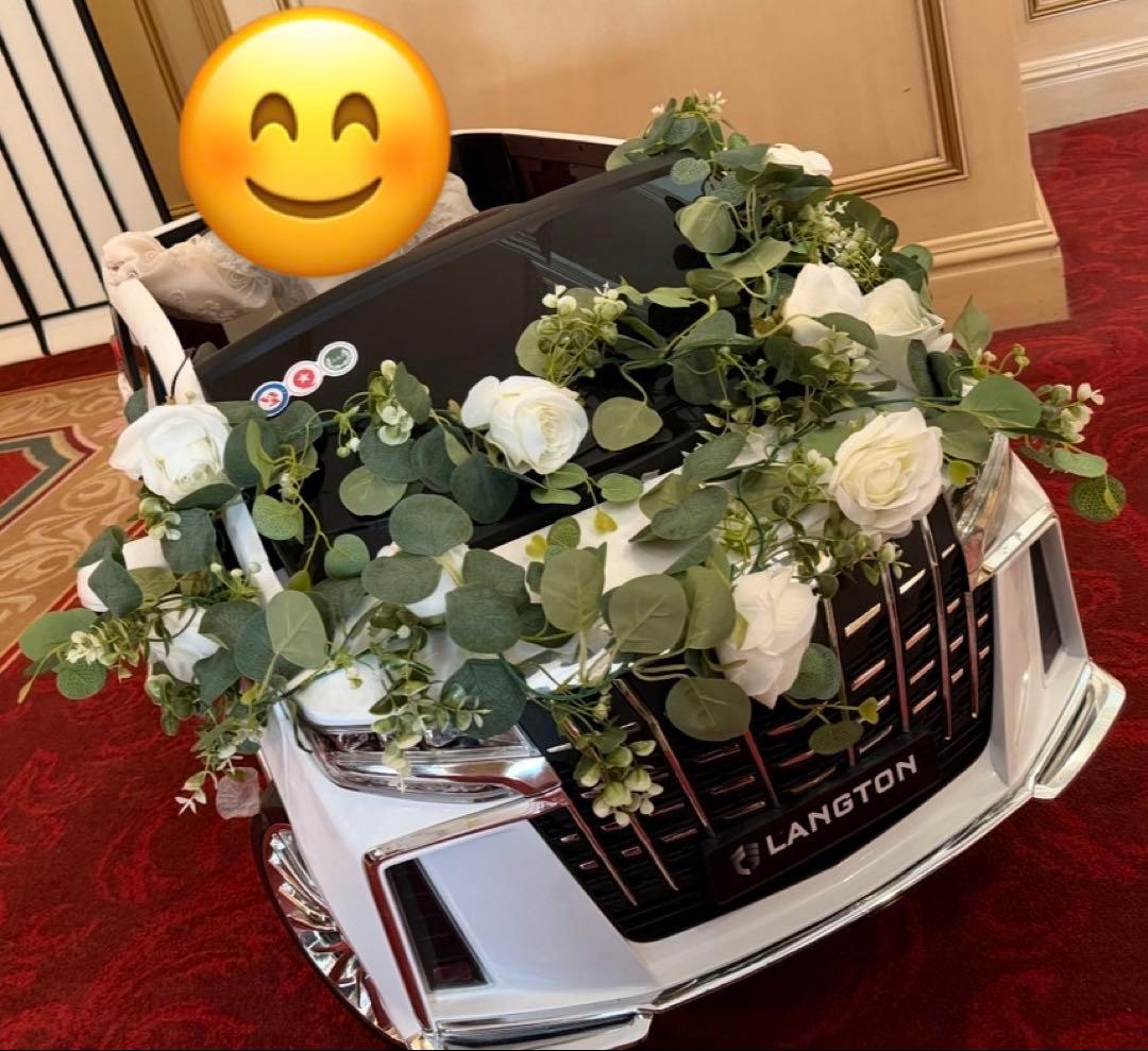 乗用ラジコンカー　アルファード