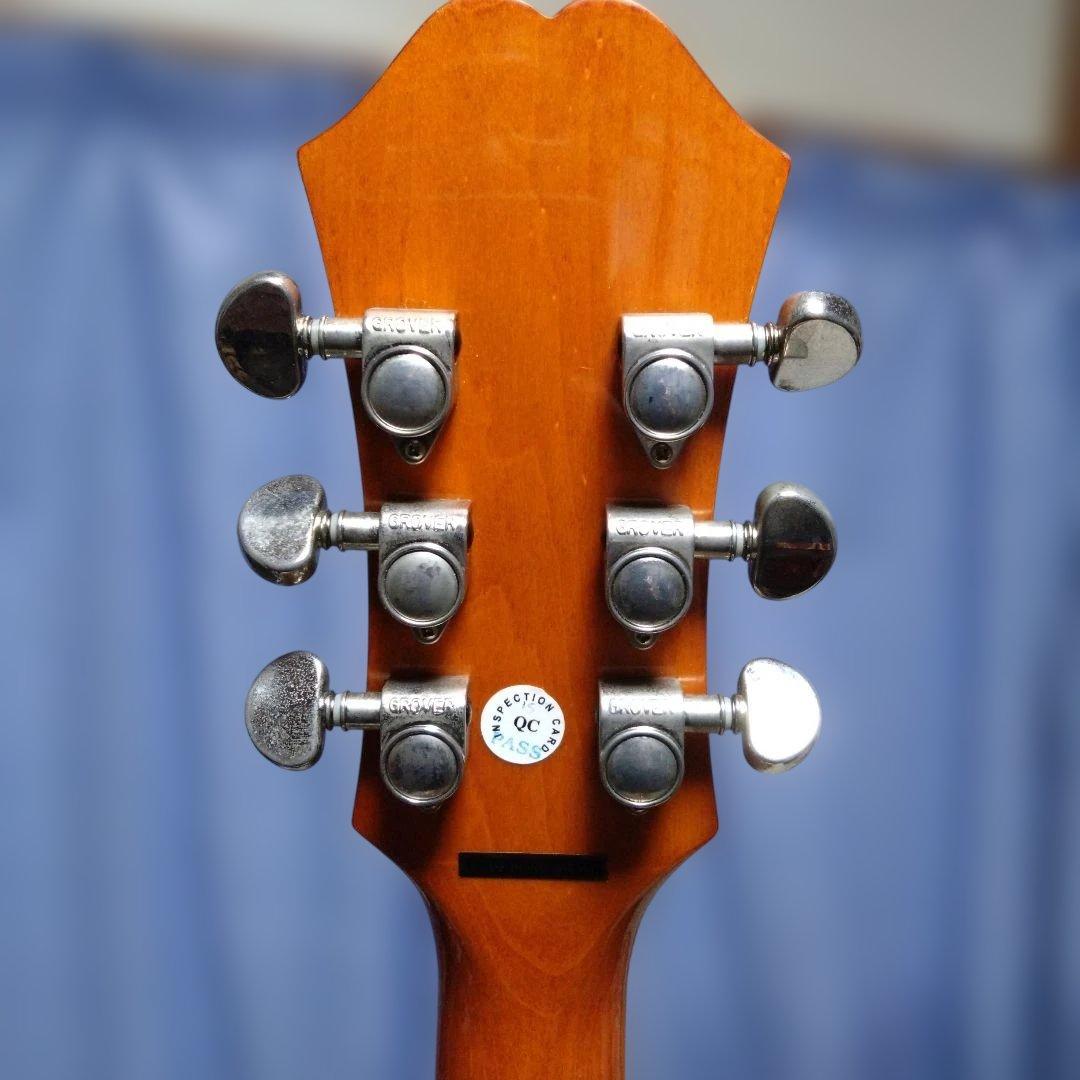 ビ*イ様 Epiphone DOVE PRO エレアコ