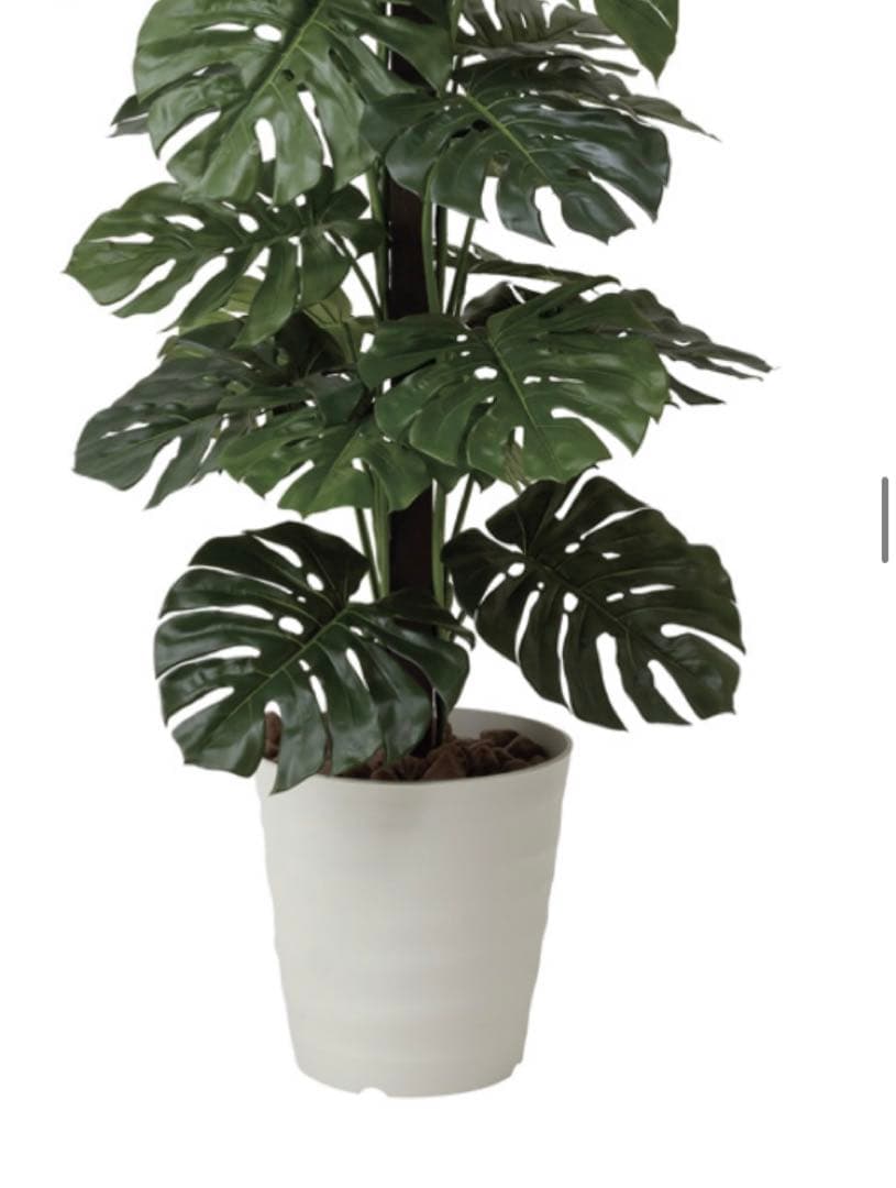 光触媒　人工観葉植物　ウォールグリーン　フェイクグリーン　モンステラ1.8m