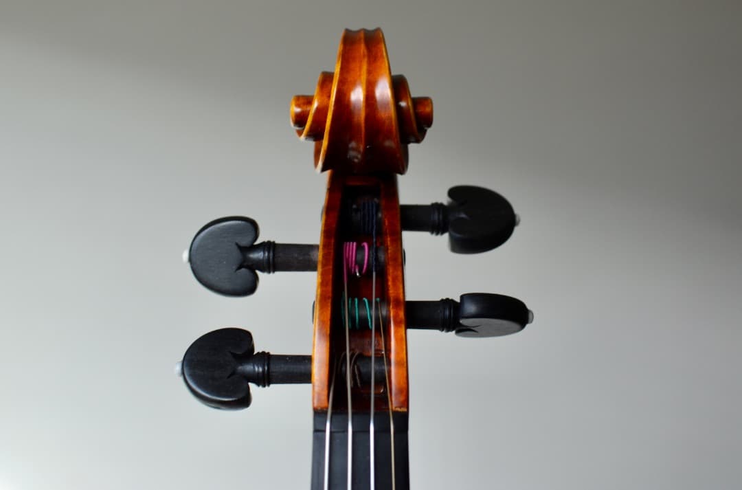 【新品】Gliga Vasile Maestro バイオリン 4/4