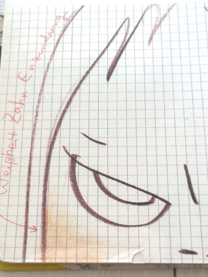 【まとめ売り】YOSHITOMO NARA／奈良美智　　　CD-ROM付き