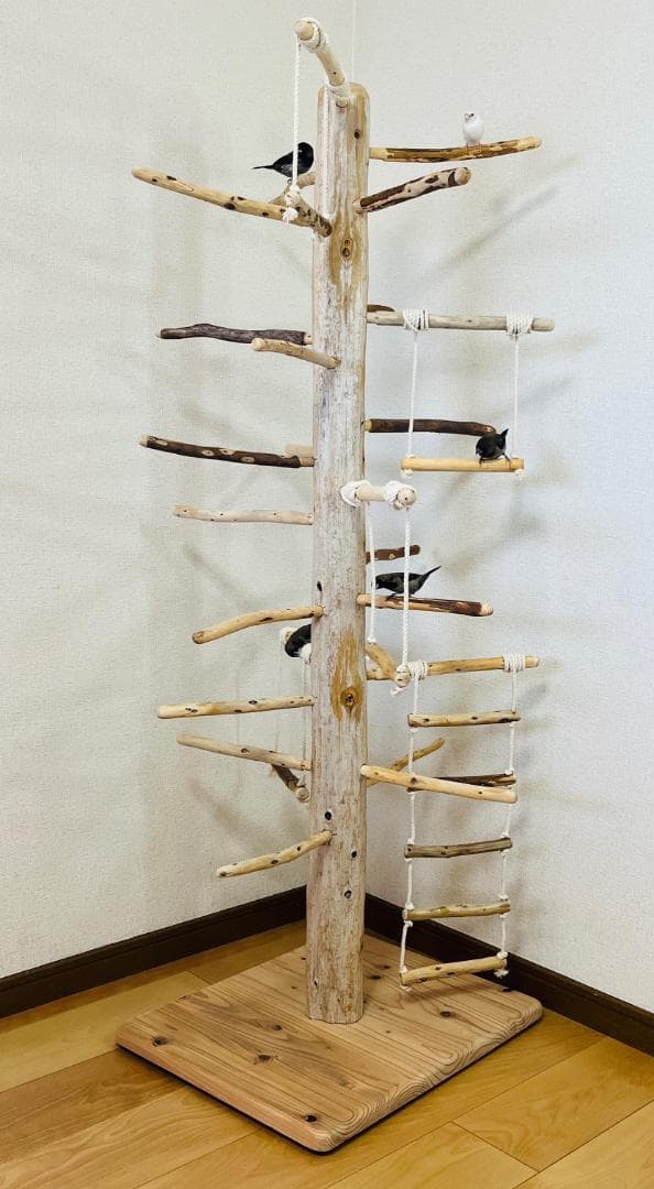 【中型鳥用】ブランコ＆はしごで楽しいバードアスレチック