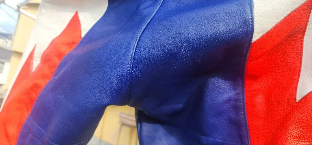 ダイネーゼレーシングレザーパンツ。サイズ52ファスナー付き。 きずほとんど無し