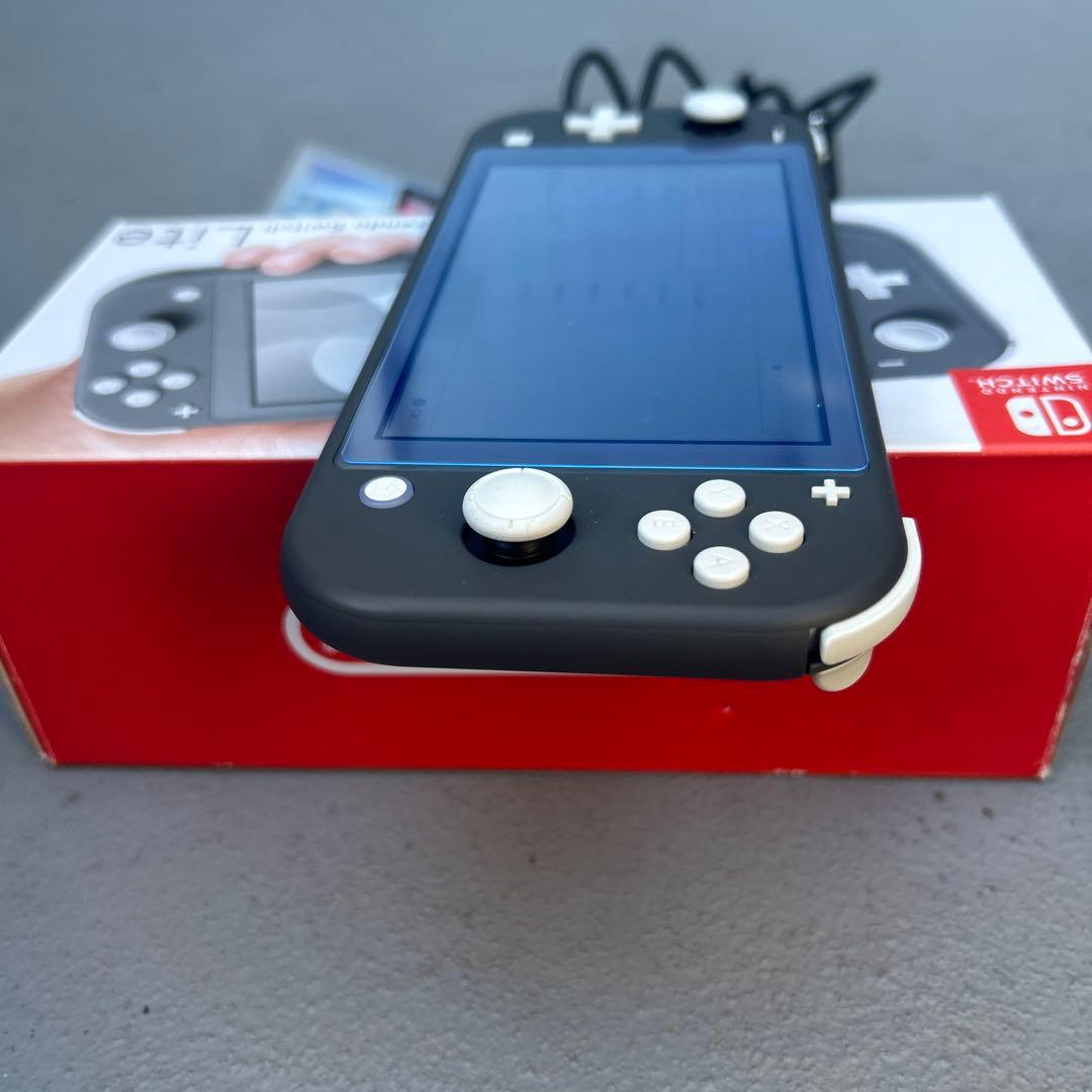 Nintendo Switch Lite グレー 充電器・ゲームカード付き