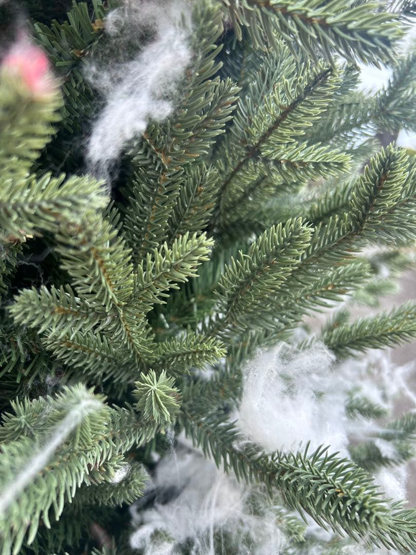 クリスマスツリー 本格派　190cm 簡単組立