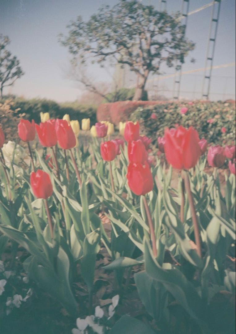 PENTAX ESPIO 80 コンパクトフィルムカメラ