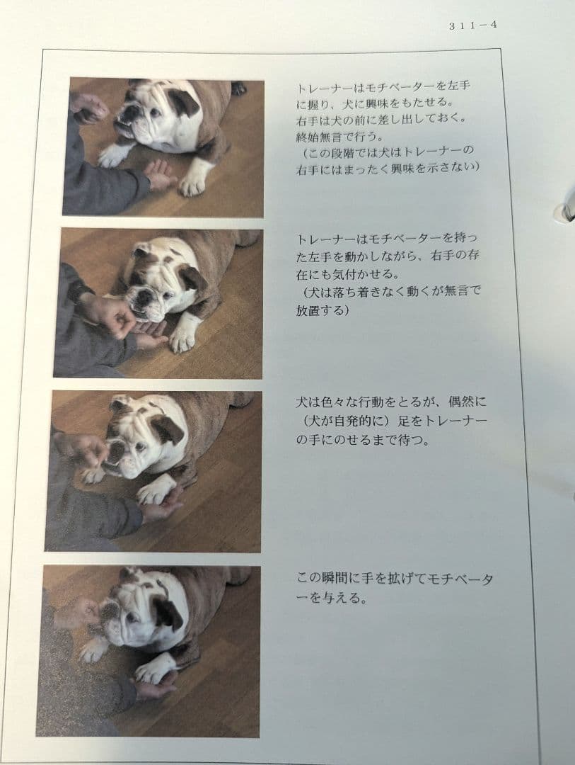 ドッグトレーナープロフェッショナル講座　ヒューマンアカデミー　テキスト DVD
