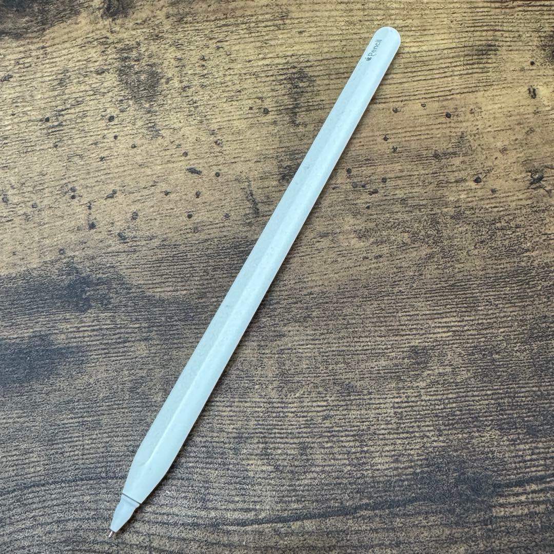 iPad Pro 11インチ 第1世代 256GB ペン付き