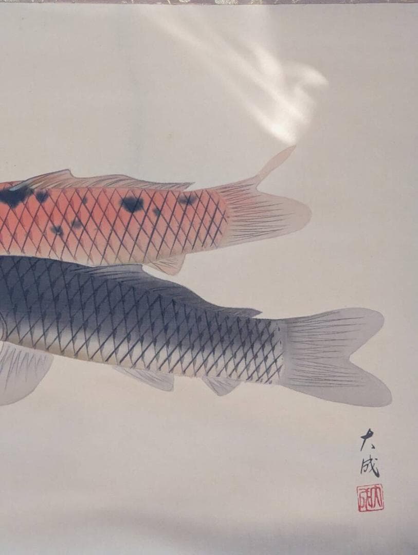 【真作】掛軸　山下大成　縁起の良い夫婦鯉図掛軸　紅白と黒鯉の彩色画　U152