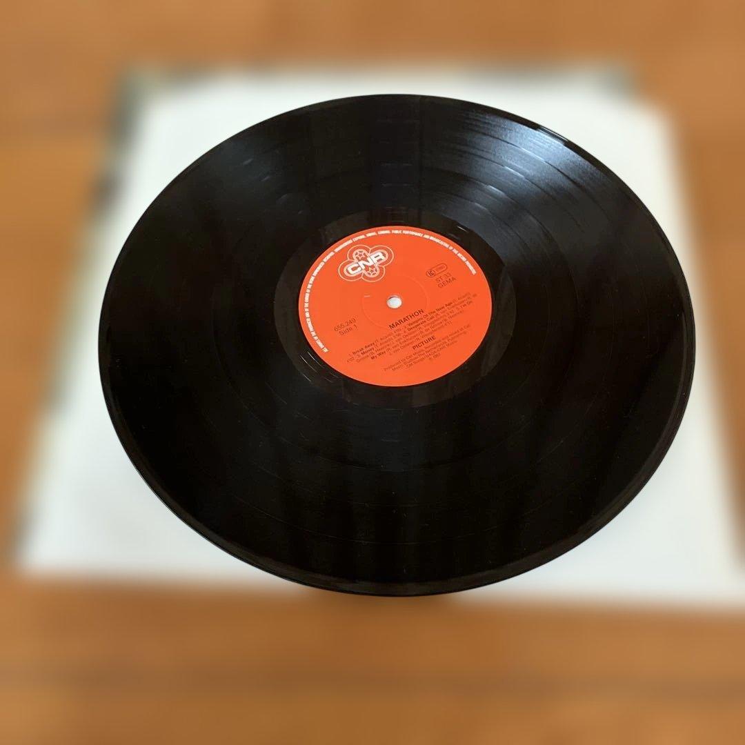 PICTURE ピクチャー ヘヴィメタル