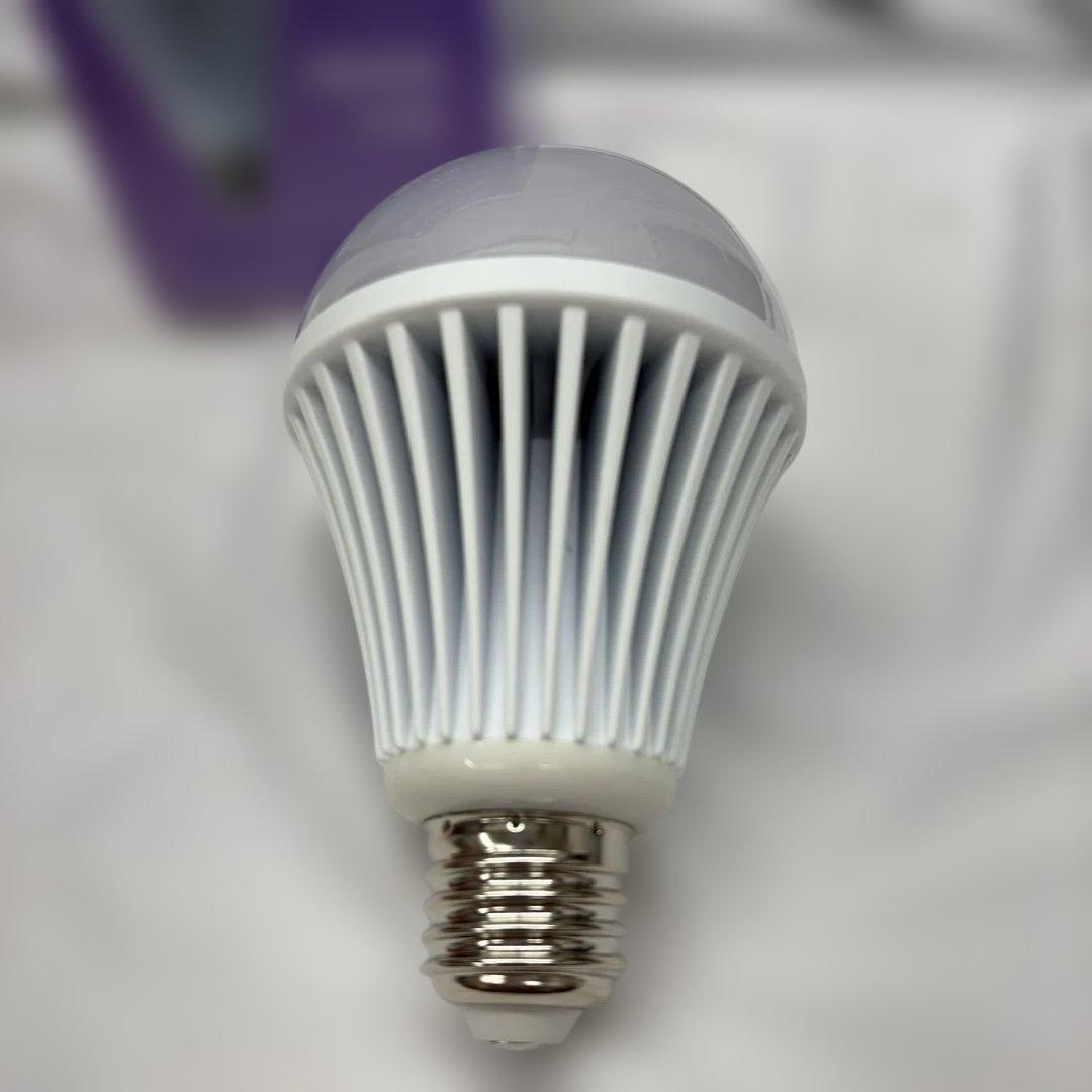 船舶用LED電球 15W E26 170度 DC12V-24V兼用と12W電球色