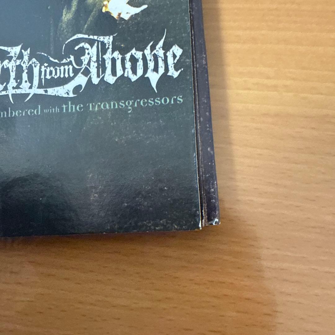 earth from above 「NUMBERED WITH THE 〜