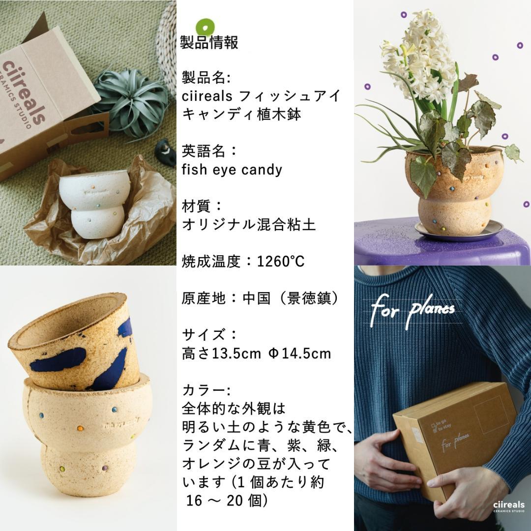 N0282 ciireals 手づくり 高品質 素焼鉢 植木鉢 通気デザイン抜群