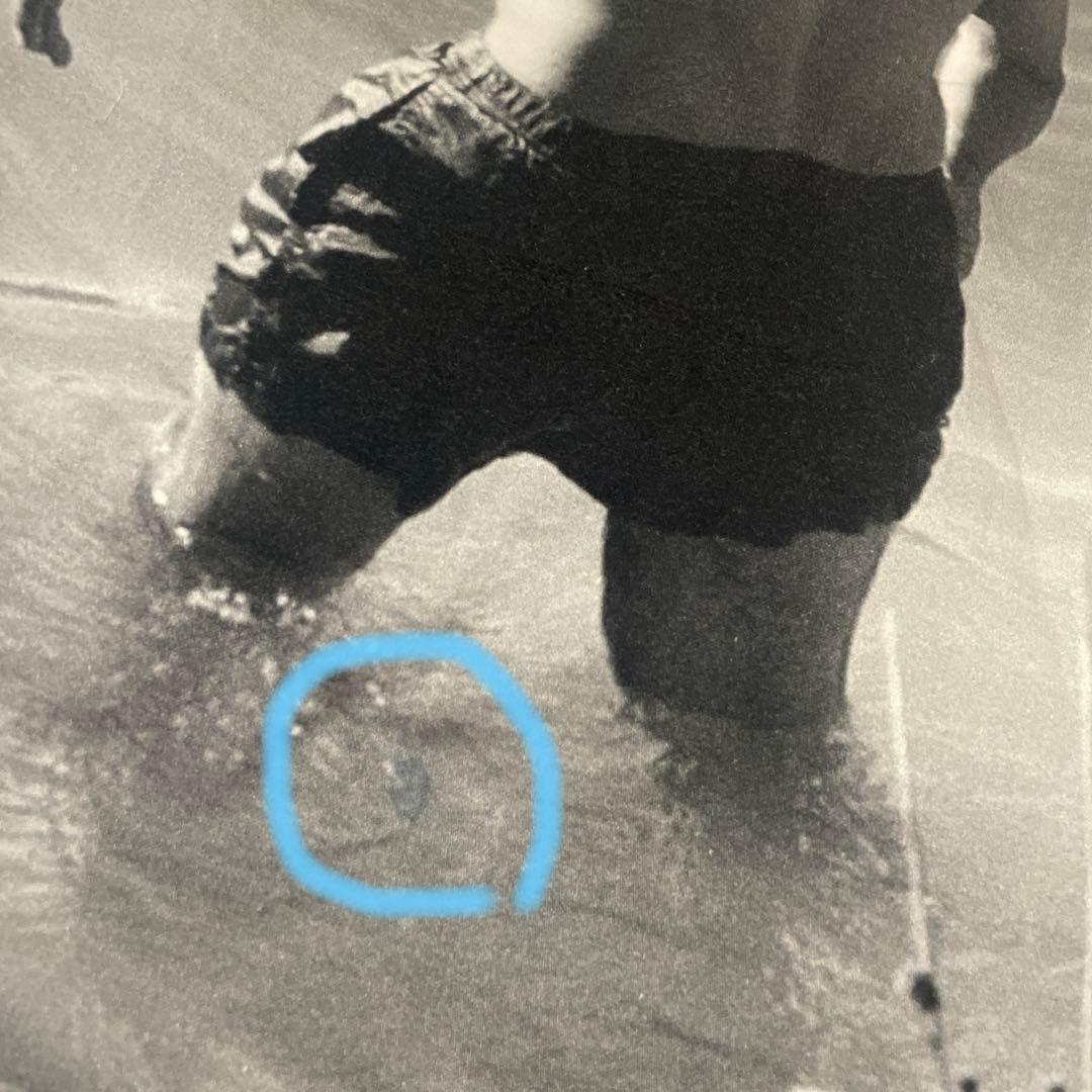 BLESS 布団カバー枕カバー２枚N°69 Saturnia Bedsheets