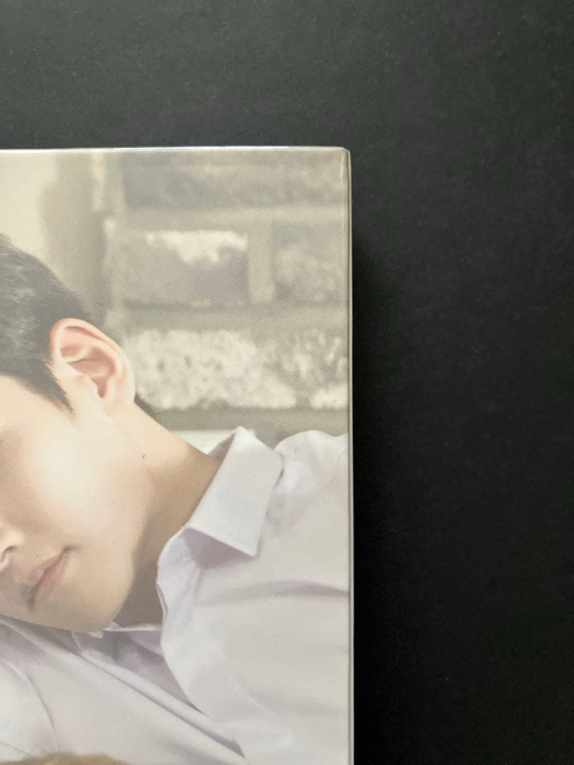 韓国ドラマ　あやしいパートナーOST　チチャンウク　2CD