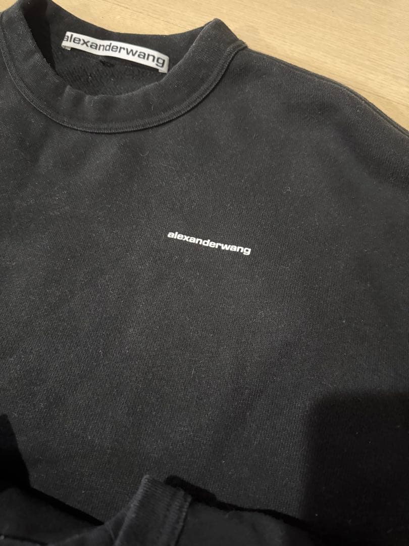 アレキサンダーワン　トレーナー　ロンT ２枚セット