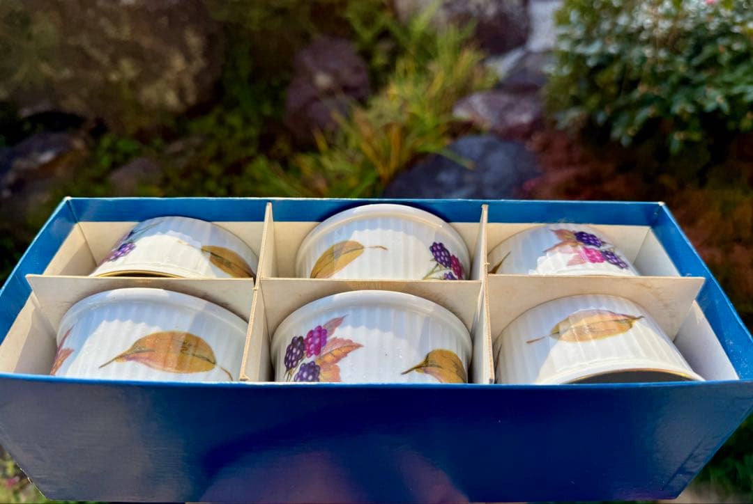 イングランド製　ロイヤルウスター　白　食器　デザートカップ 6個セット 日本製