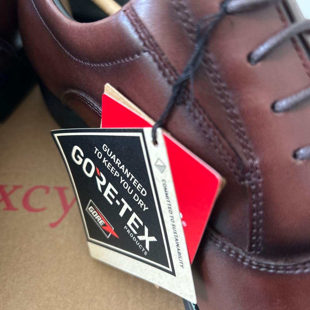 TEXCY LUXE(テクシーリュクス) 本革 ゴアテックスビジネスシューズ