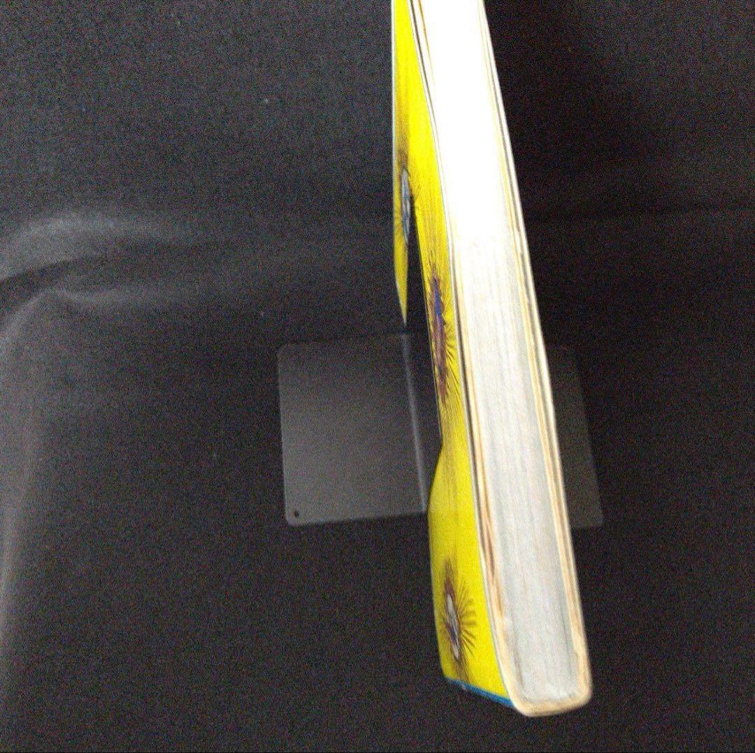 初版・絶版・超希少本『天地創造計画』横尾忠則 編