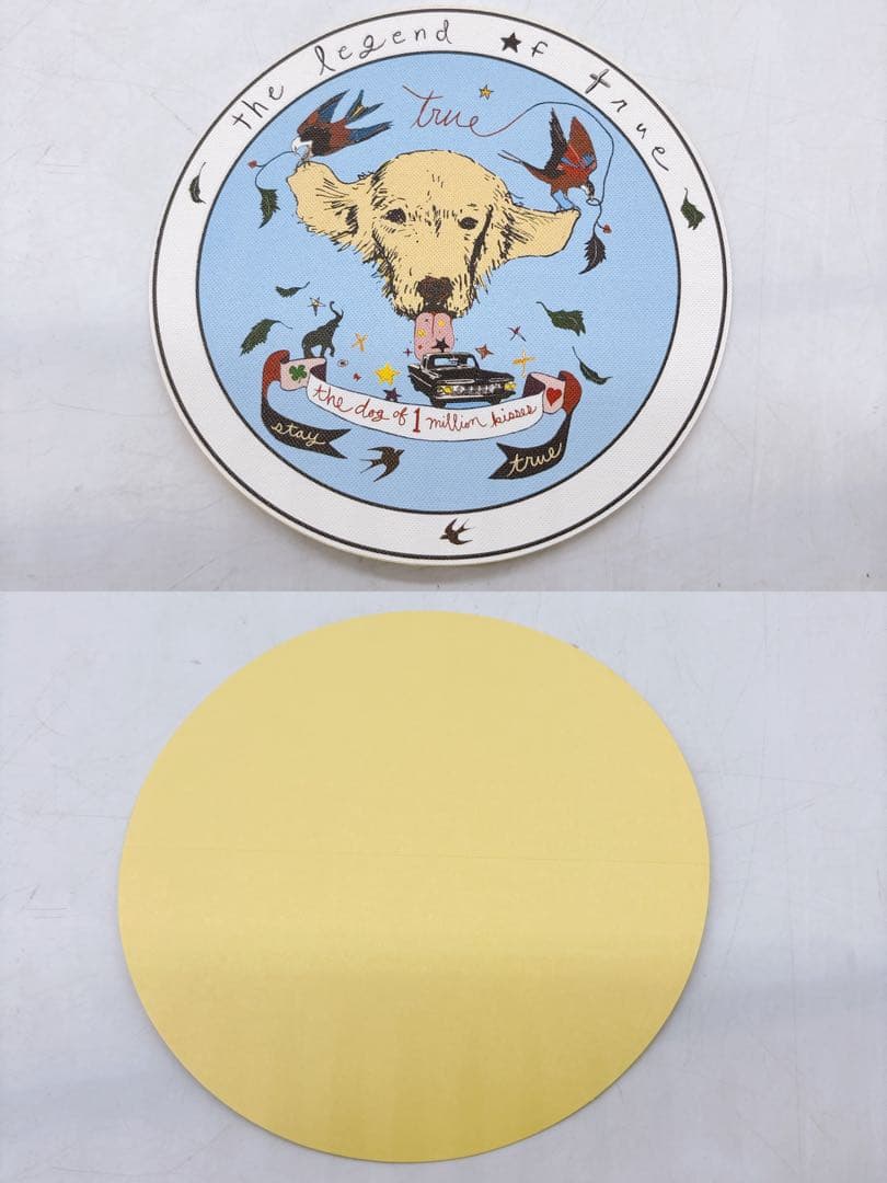 A Letter to True トゥルーへの手紙 コレクターズ・ボックス Z