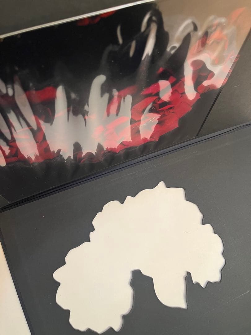 VISIONAIRE 40 DAVID SIMS / ROSES サイン本