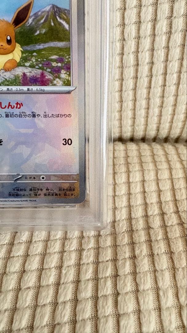 z*n様 PSA10 イーブイ マスターボールミラー SV8a 125/187