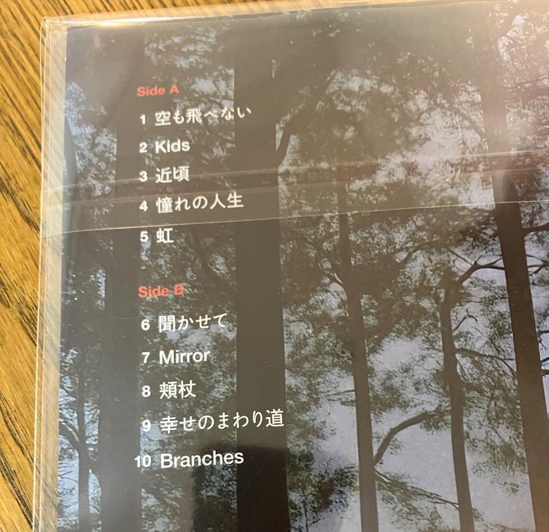 邦楽 Bialystocks / Songs for the Cryptids LP
