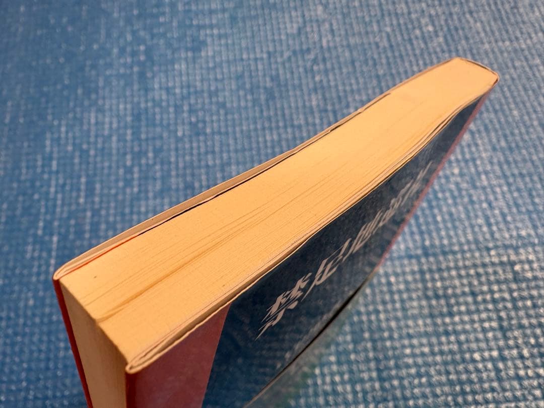 【初版】扶桑社新書282 禁足地巡礼　吉田悠軌