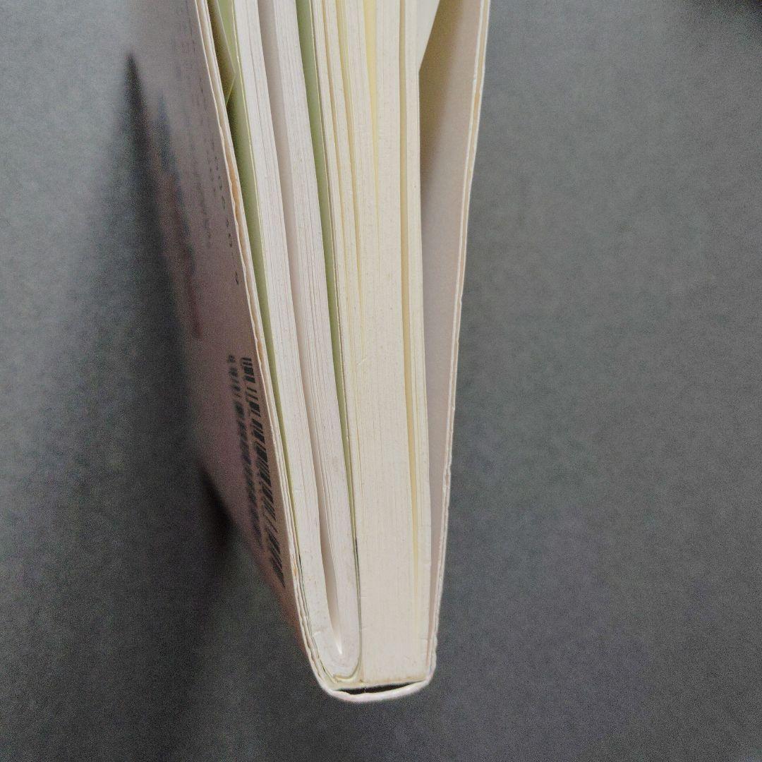 スーパー理系数学 図形問題・微分・積分編　1998年発行初版 浅見尚 絶版　希少