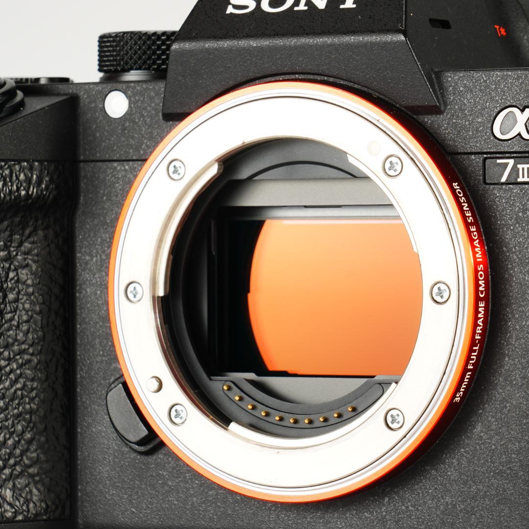 【完全セット】SONY α7III極美品！17609回/20万 すぐ撮影可能