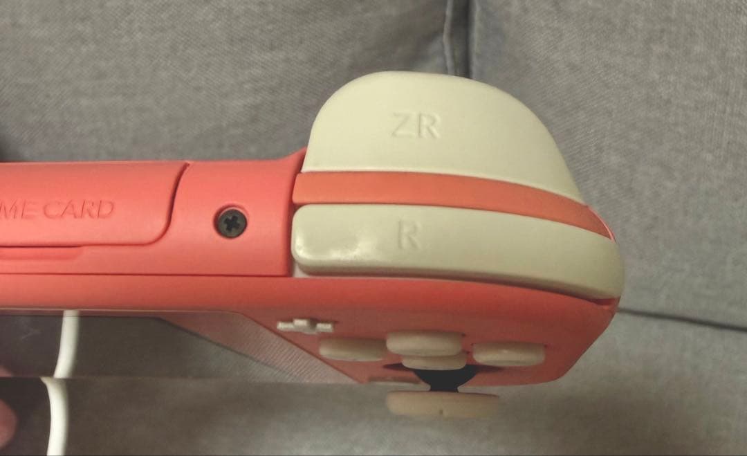 Nintendo swich Lite本体