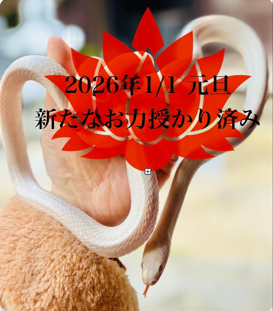 感謝価格♥自己肯定内面美を引き出し魅力up心身のバランスを整えるピンクアメジスト